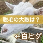 Thumbnail of post image 133